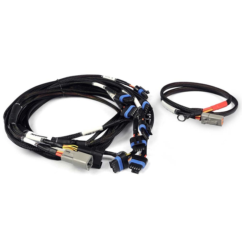 Haltech Nexus V8 IGN-1A Ford Harness – HT-186061