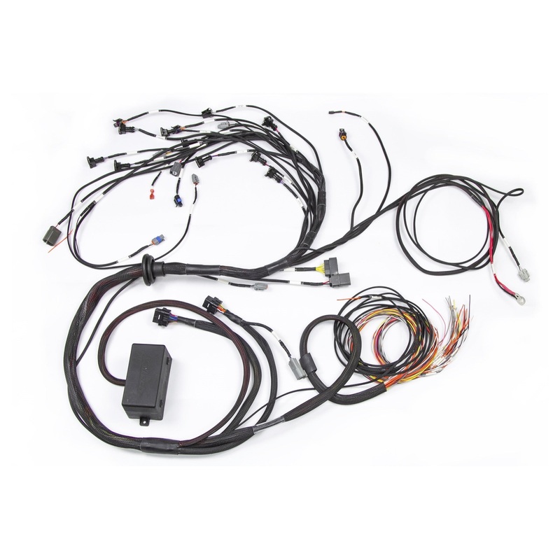 Haltech E2000/2500 RB Terminated Engine Harness Only HT-130326