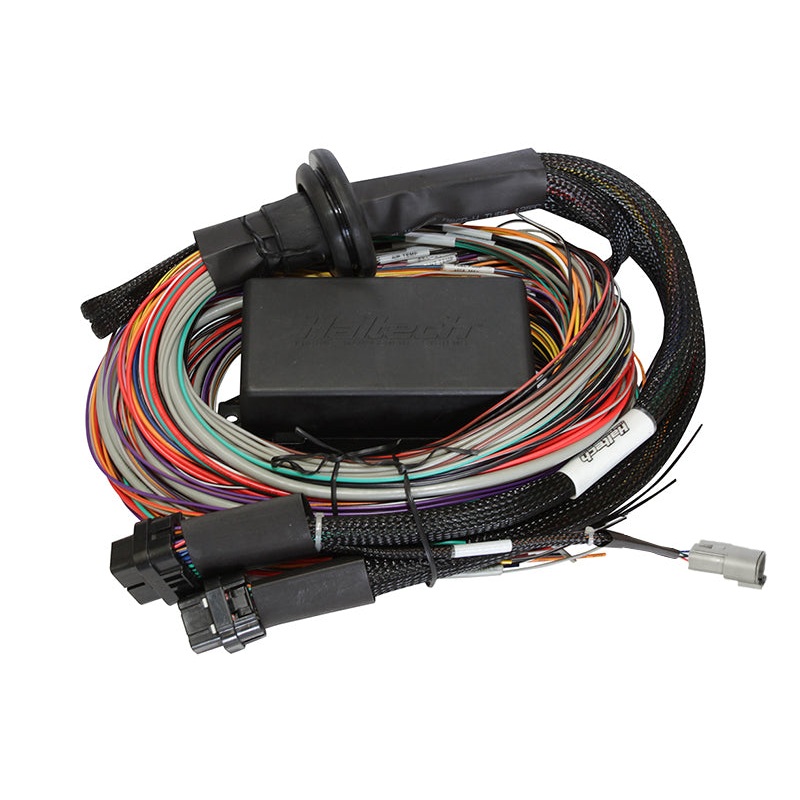 Haltech Elite 2500 – 2.5m (8 ft) Premium Uni Wire-in Harness HT-141304