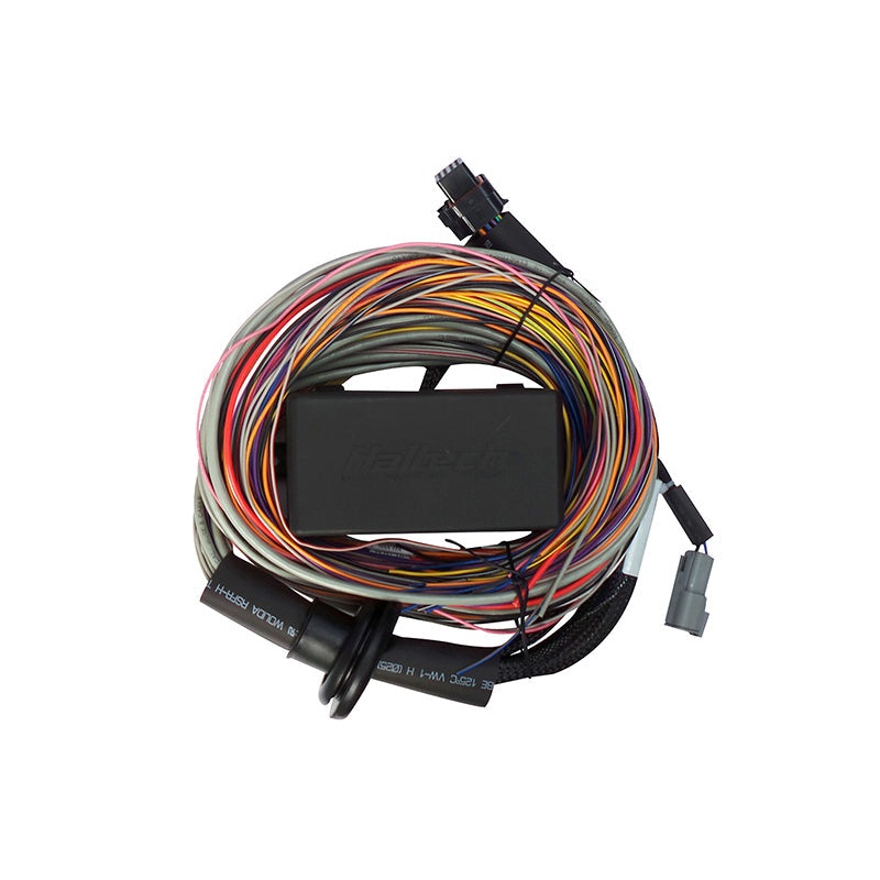Haltech Elite 750 Premium Universal Wire-in Harness 2.5m (8′) HT-140604