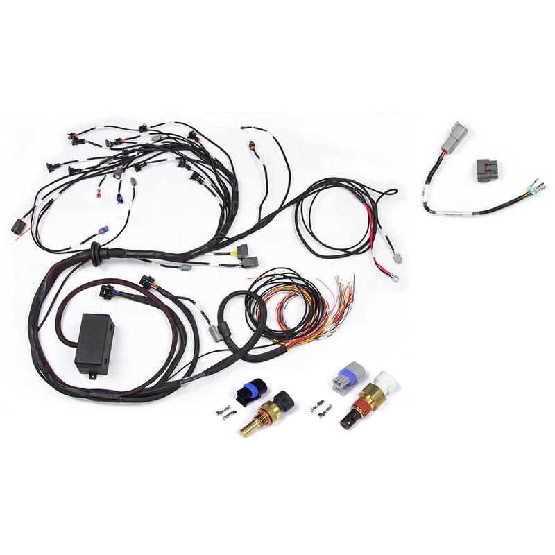 Haltech RB Twin CAM Main Harness, CAS Breakout, No Ignition Breakout HT-141226
